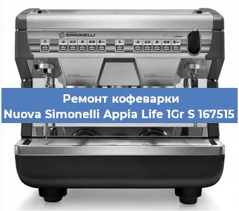 Чистка кофемашины Nuova Simonelli Appia Life 1Gr S 167515 от кофейных масел в Екатеринбурге